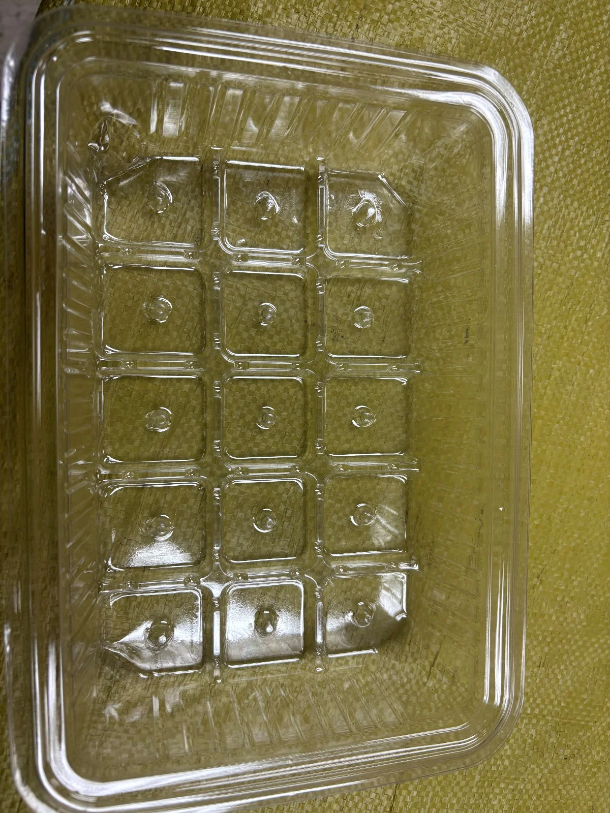 Seed Starting tray clear plastic  10″ x 7″ x 2″ deep Green House 100ea