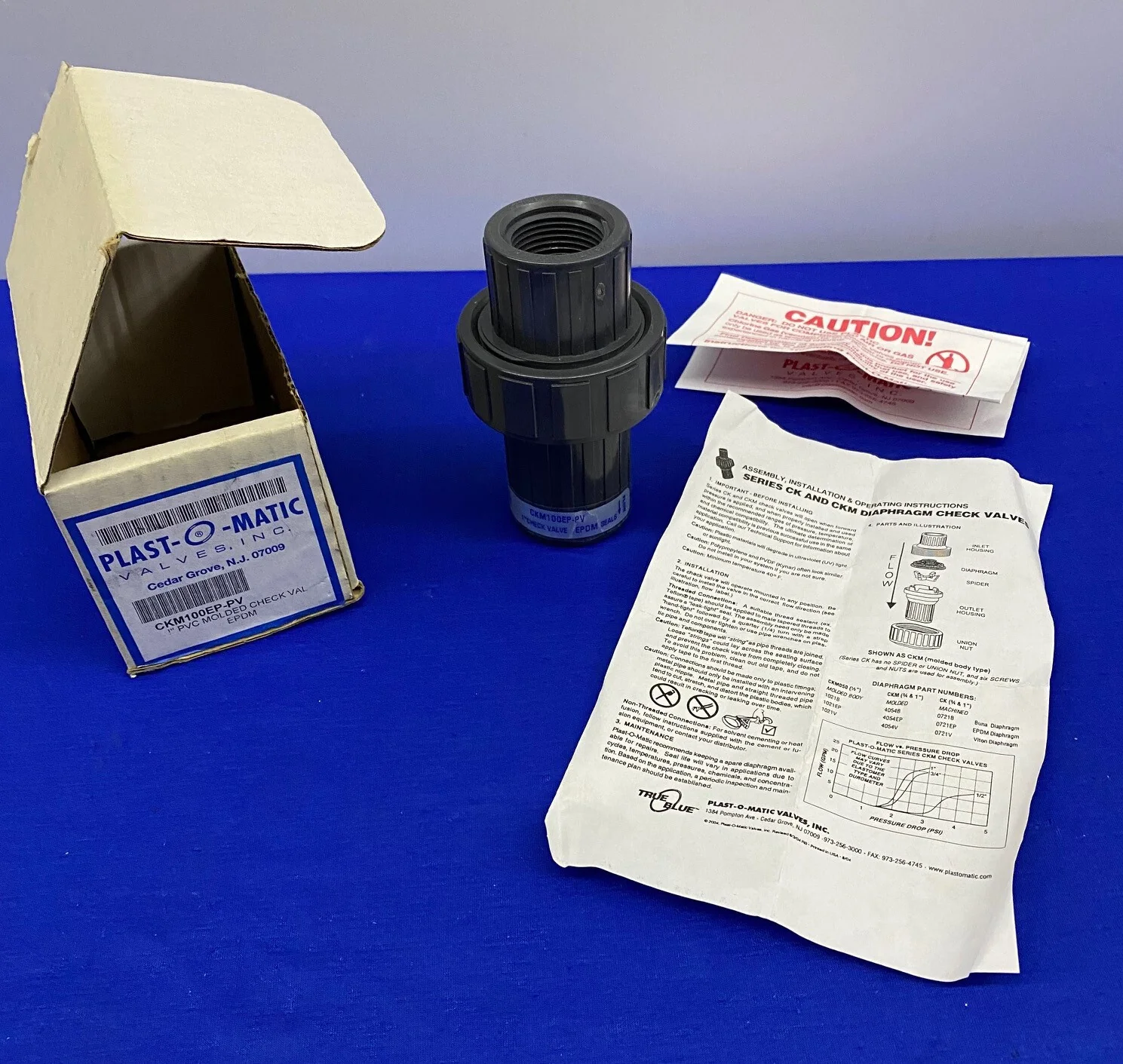 PLAST-O-MATIC CKM100EP-PV / CKM 100 1″ CHECK VALVE
